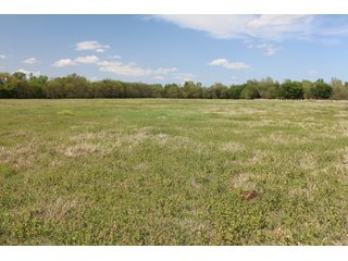 Property photo 61 - LAND AUCTION - 1,371+/- ACRES OFFERED IN 25 TRACTS IN GOLDSBY, OKLAHOMA